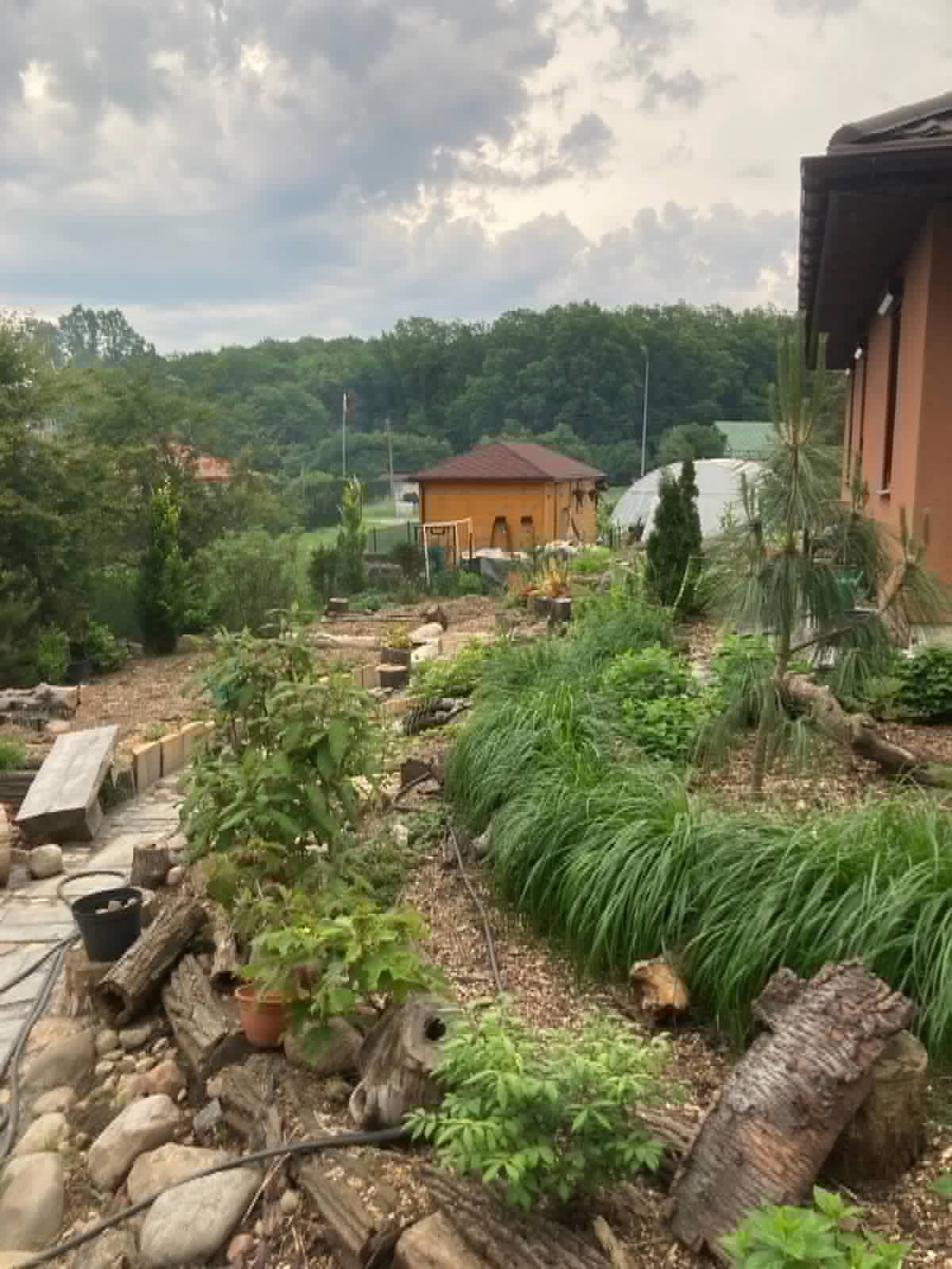 Naturalistyczny ogród ozdobny z trawami, iglakami i kompozycjami z kamienia